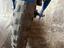 Immagine 6