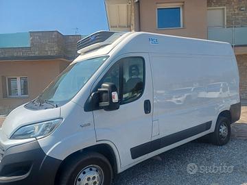 FIAT DUCATO FRIGO EURO 6