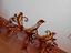 Immagine 4