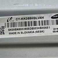 Schede per TV Samsung 55 pollicii + Altoparlanti 