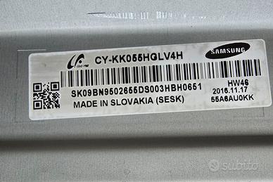 Schede per TV Samsung 55 pollicii + Altoparlanti 