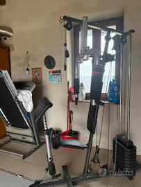 Palestra, bilancere e manubrio