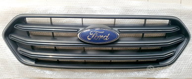 Mascherina ford Transit custom