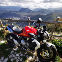 Brutale 800