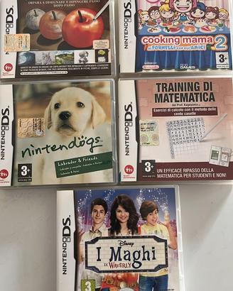 5 videogiochi per NDS