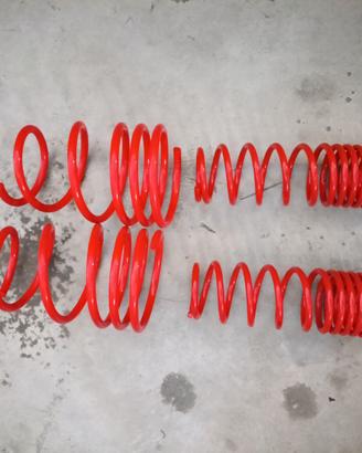 serie molle ammortizzatore della Spax per MG ZR