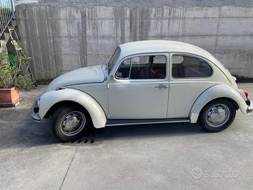 Maggiolino 11/D2