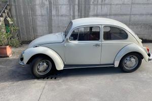 Maggiolino 11/D2