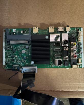 Scheda TV VESTEL 17MB170