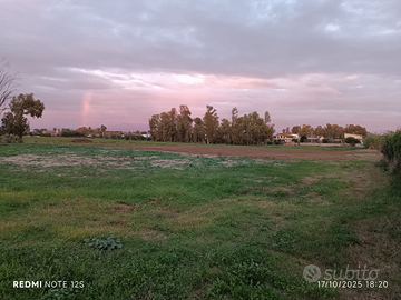 Terreni agricoli di 1000metri l'uno