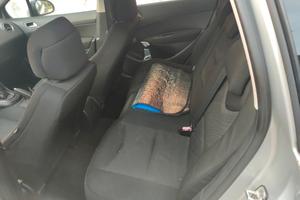 splendida auto 