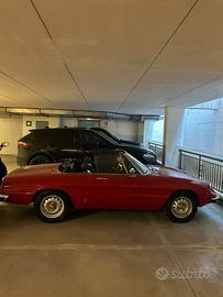 Alfa Romeo Spider 1.300 cabrio Duetto