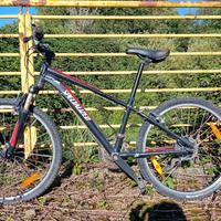 Bicicletta Specialized Hotrock 24 XC