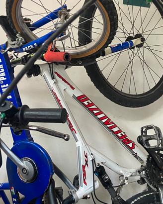 Mtb uomo e donna