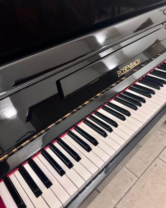 Rosenbach modello 120