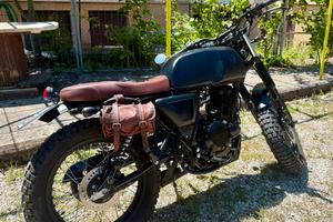 Mutt Akita 250