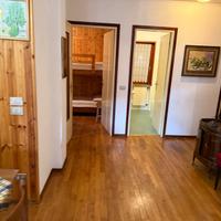 Parquestista per levigatura parquet 50mq