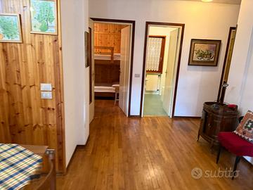 Parquestista per levigatura parquet 50mq