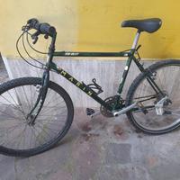 bici da passeggio MTB