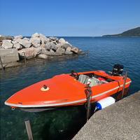 Ilver Panther 420 mercury 60 2t