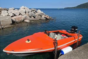 Ilver Panther 420 mercury 60 2t