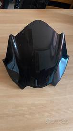 Cupolino Triumph speed triple 1050