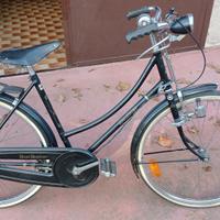 Bici raleigh speedster