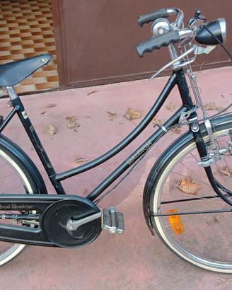 Bici raleigh speedster