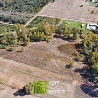 Borgo Santa Maria (LT) - Terreno di 1,5 HA | TR442