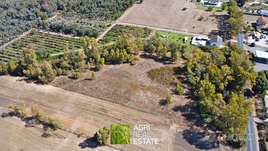 Borgo Santa Maria (LT) - Terreno di 1,5 HA | TR442