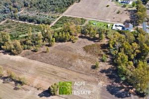 Borgo Santa Maria (LT) - Terreno di 1,5 HA | TR442