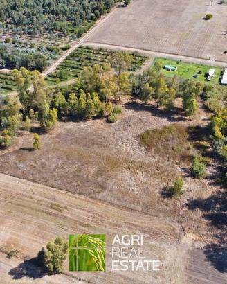 Borgo Santa Maria (LT) - Terreno di 1,5 HA | TR442
