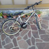 Bici ragazzino