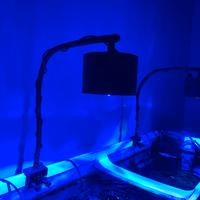 Plafoniere a led acquario marino-Lominie asta s120