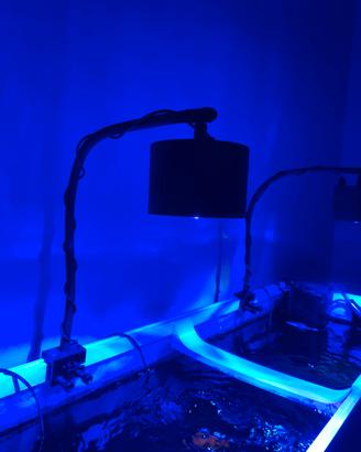 Plafoniere a led acquario marino-Lominie asta s120