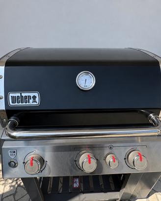 Weber Genesis II E-330 GBS + Girarrosto + Telo
