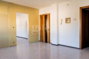 Appartamento Borgo Valbelluna [BL-23VRG]