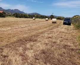 Terreno agricolo 5 ettari con casa