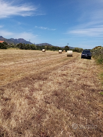 Terreno agricolo 5 ettari con casa