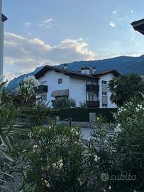 Elegante e grande appartamento in villa