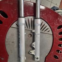 Foderi forca liberty 50 2018/22