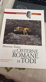 Le Cisterne Romane di Todi Maurizio Todini libro
