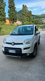 Fiat Panda 1.3 mjt 16v 4x4 75cv antartica