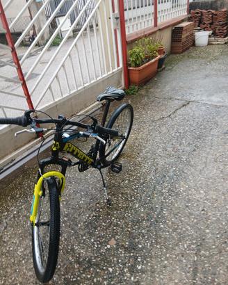bicicletta errere