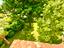 Immagine 16