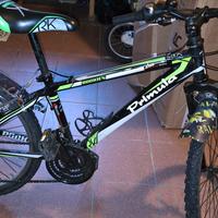 mtb bambino Primula 