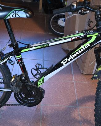 mtb bambino Primula 