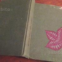 Cuore infermo Matilde Serao