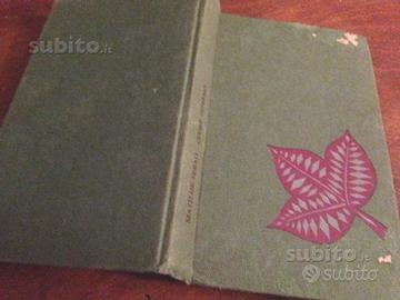 Cuore infermo Matilde Serao