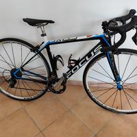 Focus Cayo XS